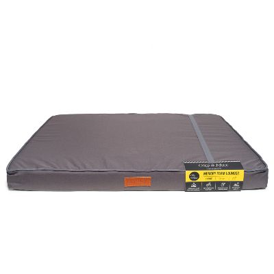 Memory Lounger (Grey) 