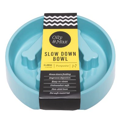 Slow Down Bowl (Turquoise) 
