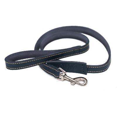 Leather Collar (Blue) (DUPLICATE)